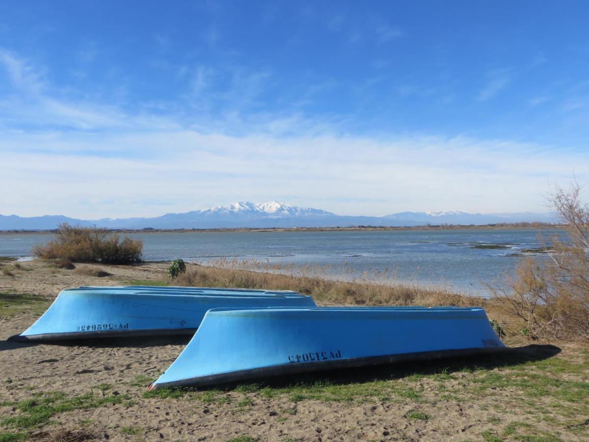 Camping Cap Sud アレニャ エクステリア 写真